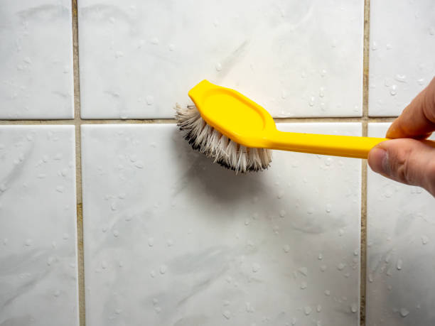 Best Best Mold Removal Companies  in Boulder City, NV