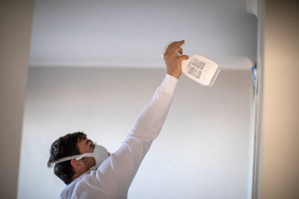 Best Commercial Mold Removal  in Boulder City, NV